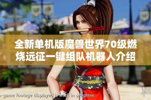 全新单机版魔兽世界70级燃烧远征一键组队机器人介绍