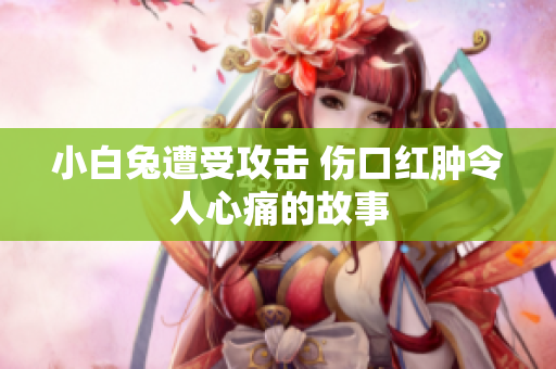 小白兔遭受攻击 伤口红肿令人心痛的故事