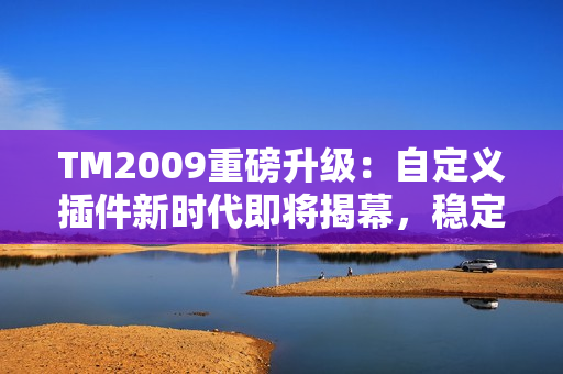 TM2009重磅升级：自定义插件新时代即将揭幕，稳定版金秋发布在即