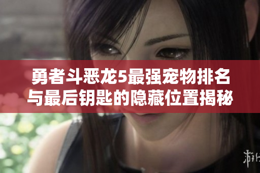 勇者斗恶龙5最强宠物排名与最后钥匙的隐藏位置揭秘