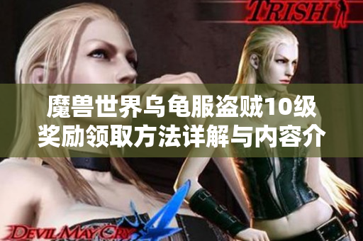 魔兽世界乌龟服盗贼10级奖励领取方法详解与内容介绍
