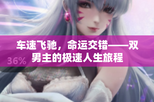 车速飞驰，命运交错——双男主的极速人生旅程