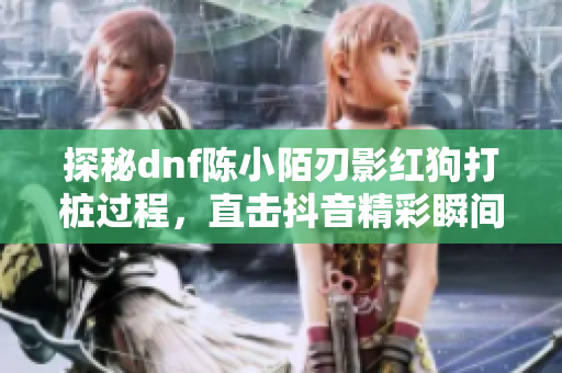 探秘dnf陈小陌刃影红狗打桩过程，直击抖音精彩瞬间