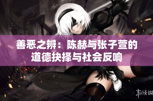 善恶之辨：陈赫与张子萱的道德抉择与社会反响