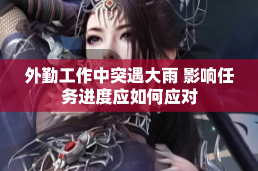 外勤工作中突遇大雨 影响任务进度应如何应对