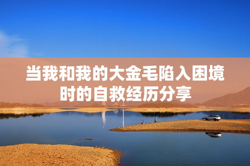 当我和我的大金毛陷入困境时的自救经历分享