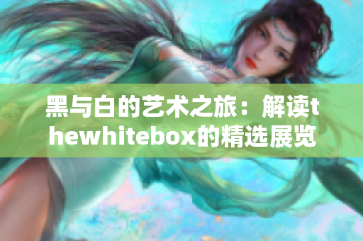 黑与白的艺术之旅：解读thewhitebox的精选展览