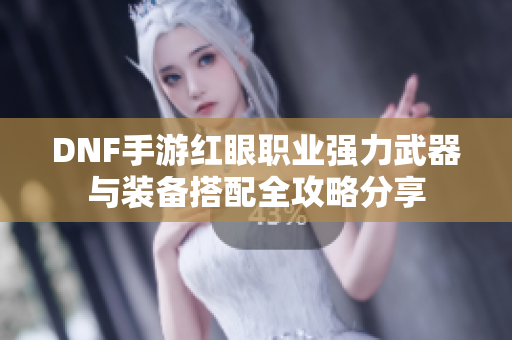 DNF手游红眼职业强力武器与装备搭配全攻略分享
