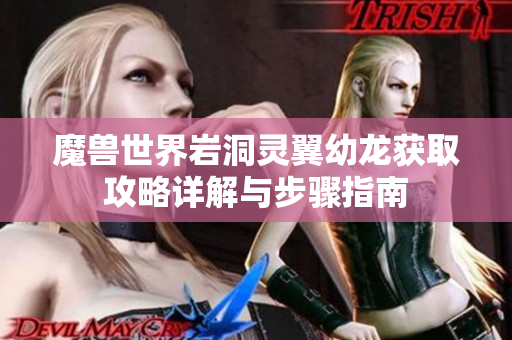 魔兽世界岩洞灵翼幼龙获取攻略详解与步骤指南