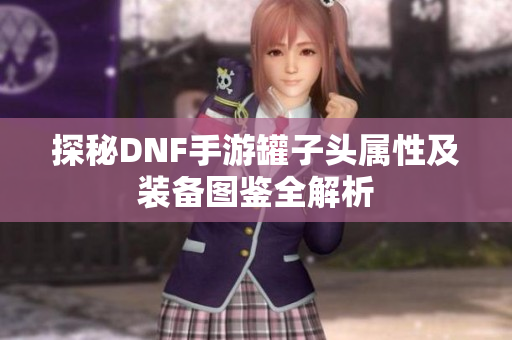 探秘DNF手游罐子头属性及装备图鉴全解析