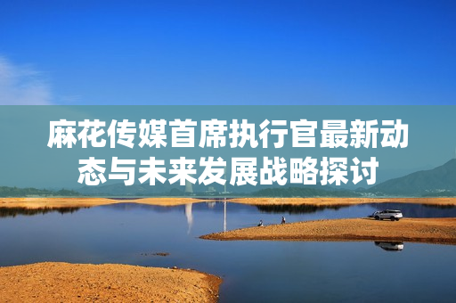 麻花传媒首席执行官最新动态与未来发展战略探讨