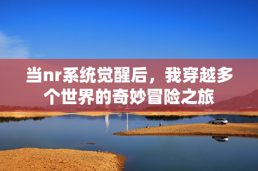 当nr系统觉醒后，我穿越多个世界的奇妙冒险之旅