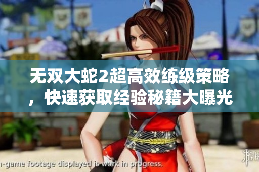 无双大蛇2超高效练级策略，快速获取经验秘籍大曝光