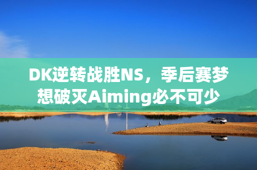 DK逆转战胜NS，季后赛梦想破灭Aiming必不可少