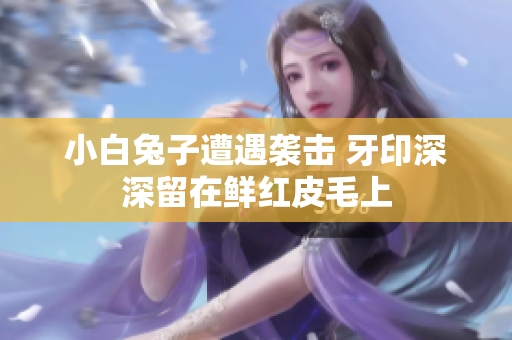 小白兔子遭遇袭击 牙印深深留在鲜红皮毛上