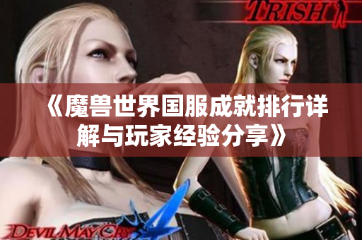 《魔兽世界国服成就排行详解与玩家经验分享》