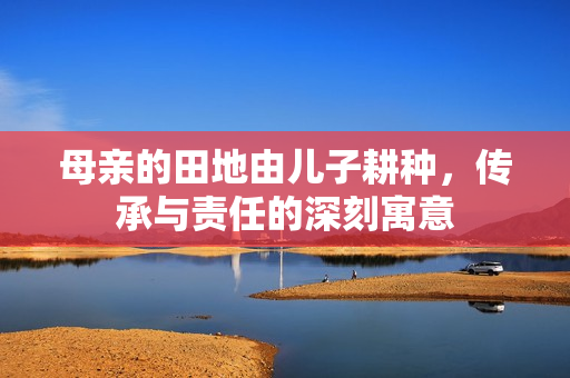 母亲的田地由儿子耕种，传承与责任的深刻寓意