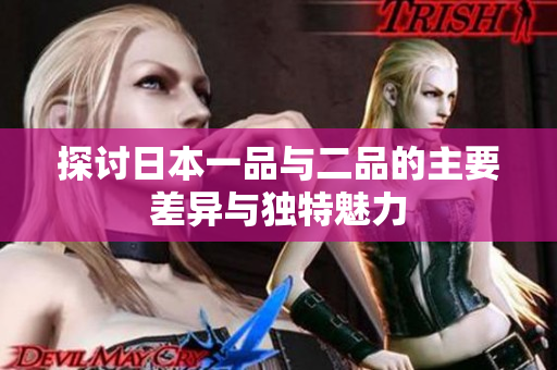 探讨日本一品与二品的主要差异与独特魅力