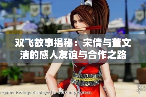 双飞故事揭秘：宋倩与董文洁的感人友谊与合作之路