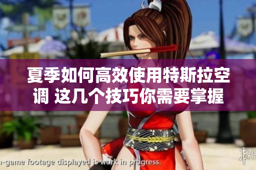 夏季如何高效使用特斯拉空调 这几个技巧你需要掌握