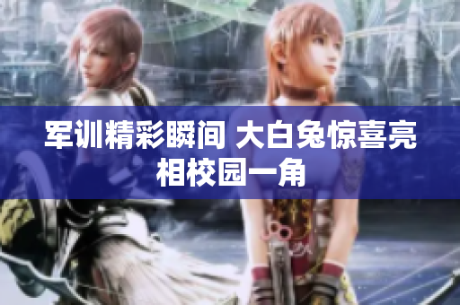 军训精彩瞬间 大白兔惊喜亮相校园一角