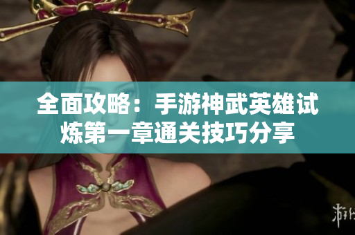 全面攻略：手游神武英雄试炼第一章通关技巧分享