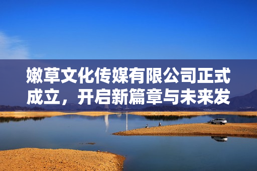 嫩草文化传媒有限公司正式成立，开启新篇章与未来发展之路