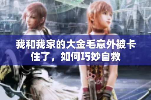 我和我家的大金毛意外被卡住了，如何巧妙自救