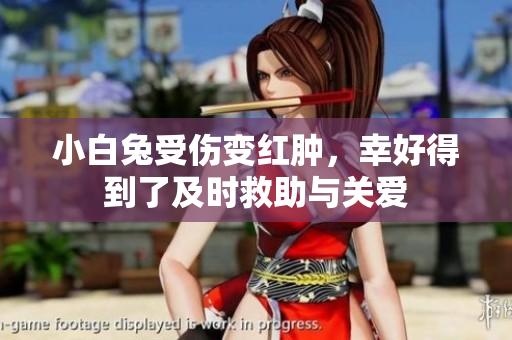 小白兔受伤变红肿，幸好得到了及时救助与关爱