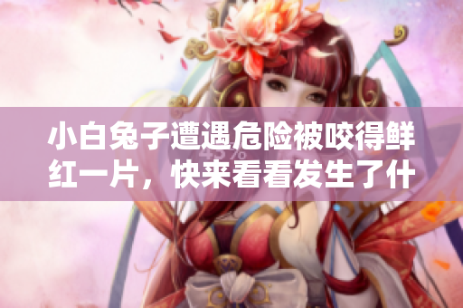 小白兔子遭遇危险被咬得鲜红一片，快来看看发生了什么事！