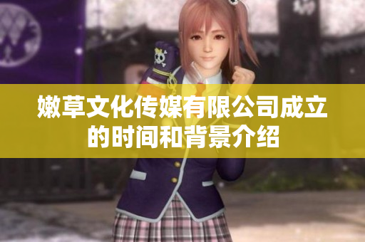 嫩草文化传媒有限公司成立的时间和背景介绍