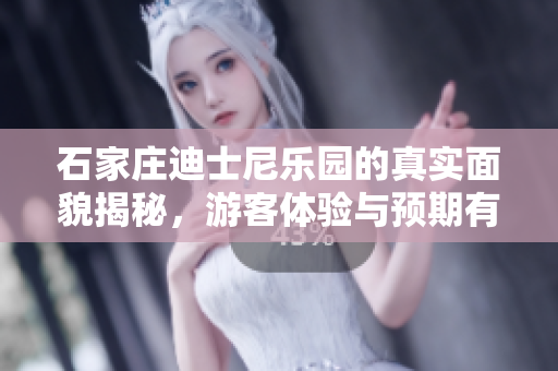 石家庄迪士尼乐园的真实面貌揭秘，游客体验与预期有何差异