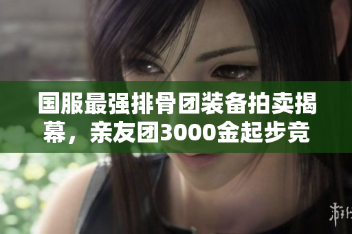 国服最强排骨团装备拍卖揭幕，亲友团3000金起步竞争激烈