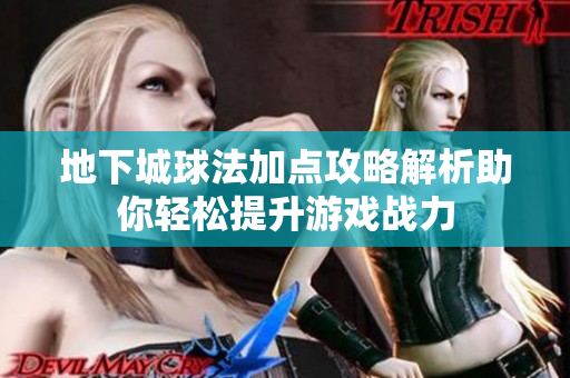 地下城球法加点攻略解析助你轻松提升游戏战力