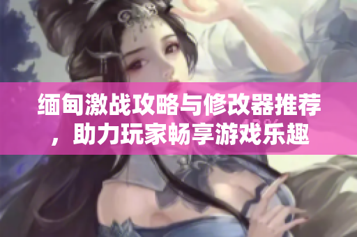 缅甸激战攻略与修改器推荐，助力玩家畅享游戏乐趣