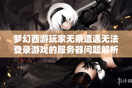 梦幻西游玩家无奈遭遇无法登录游戏的服务器问题解析