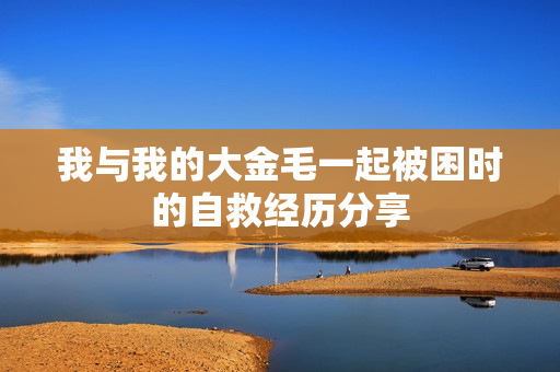 我与我的大金毛一起被困时的自救经历分享