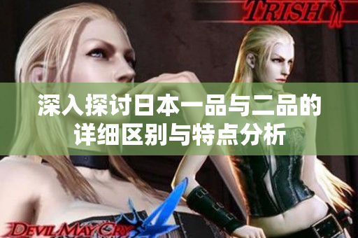 深入探讨日本一品与二品的详细区别与特点分析