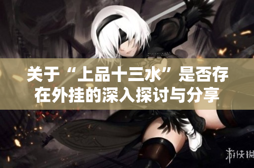 关于“上品十三水”是否存在外挂的深入探讨与分享