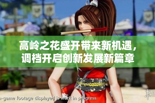 高岭之花盛开带来新机遇，调档开启创新发展新篇章