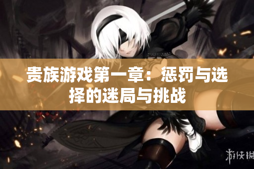 贵族游戏第一章：惩罚与选择的迷局与挑战
