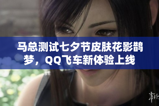 马总测试七夕节皮肤花影鹊梦，QQ飞车新体验上线
