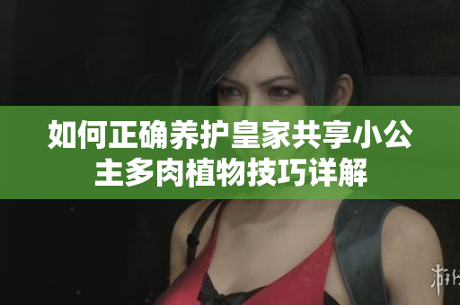 如何正确养护皇家共享小公主多肉植物技巧详解