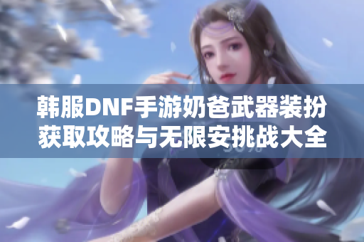 韩服DNF手游奶爸武器装扮获取攻略与无限安挑战大全