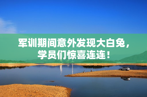 军训期间意外发现大白兔，学员们惊喜连连！