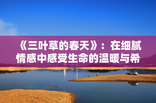《三叶草的春天》：在细腻情感中感受生命的温暖与希望