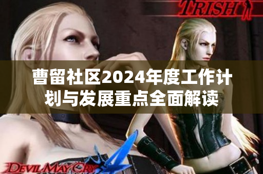 曹留社区2024年度工作计划与发展重点全面解读