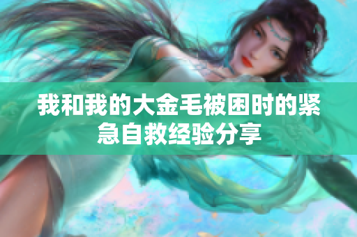 我和我的大金毛被困时的紧急自救经验分享