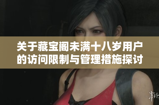 关于藏宝阁未满十八岁用户的访问限制与管理措施探讨