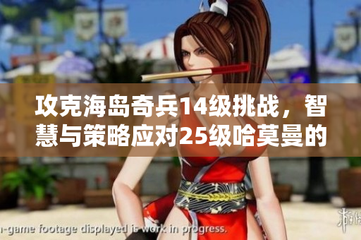 攻克海岛奇兵14级挑战，智慧与策略应对25级哈莫曼的心得分享